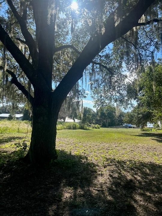 For Sale: $249,000 (1.98 acres)