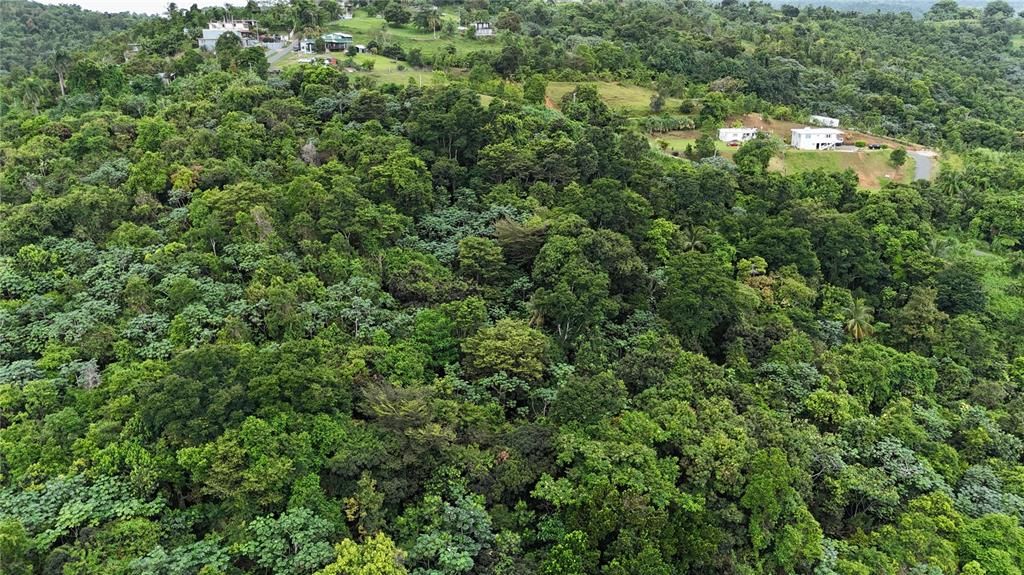 На продажу: $75,000 (0.70 acres)