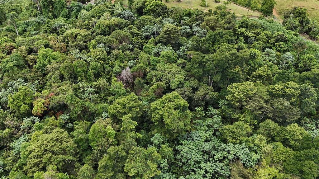 На продажу: $75,000 (0.70 acres)