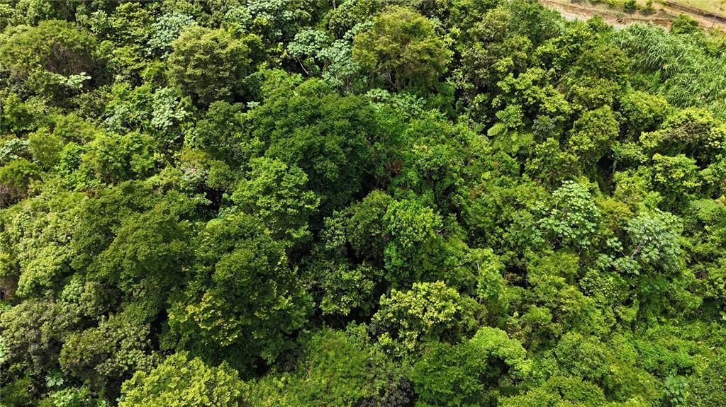 На продажу: $75,000 (0.70 acres)