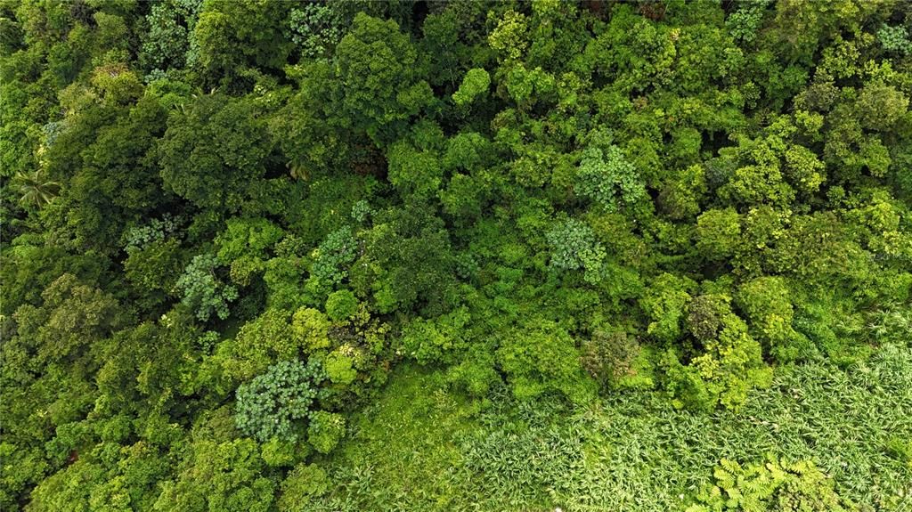 На продажу: $75,000 (0.70 acres)