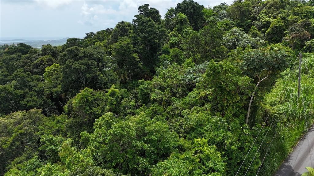 На продажу: $75,000 (0.70 acres)