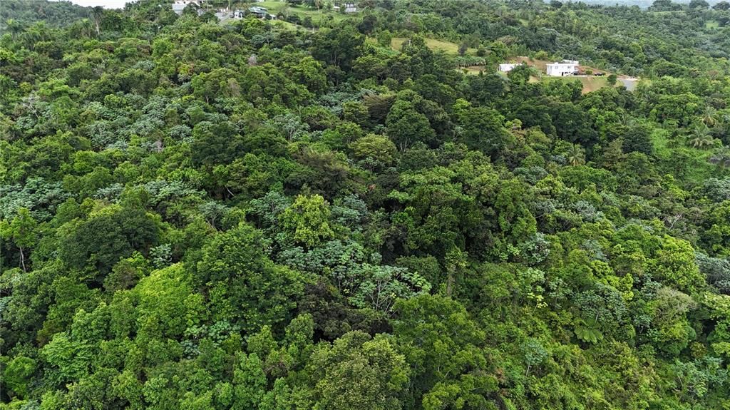 На продажу: $75,000 (0.70 acres)