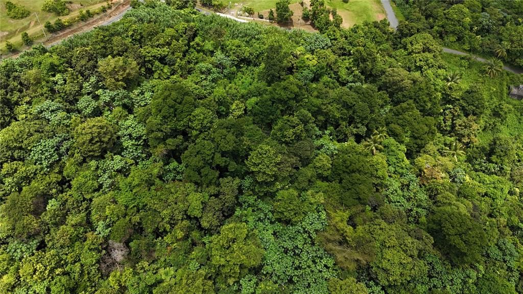 На продажу: $75,000 (0.70 acres)