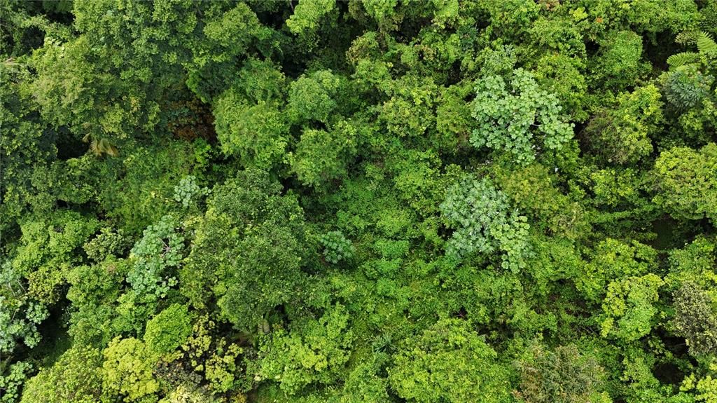 На продажу: $75,000 (0.70 acres)