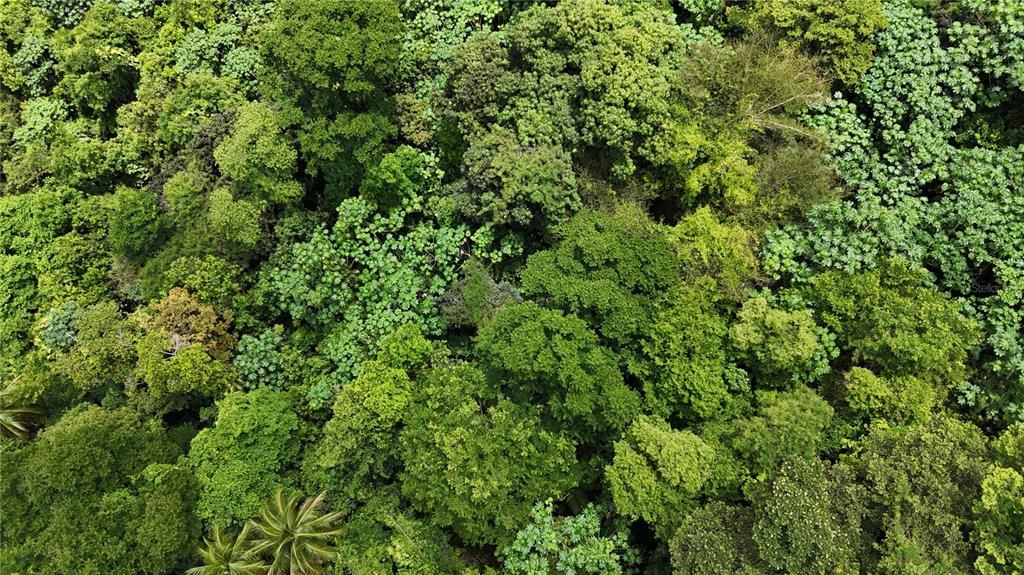 На продажу: $75,000 (0.70 acres)