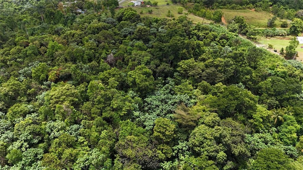 На продажу: $75,000 (0.70 acres)