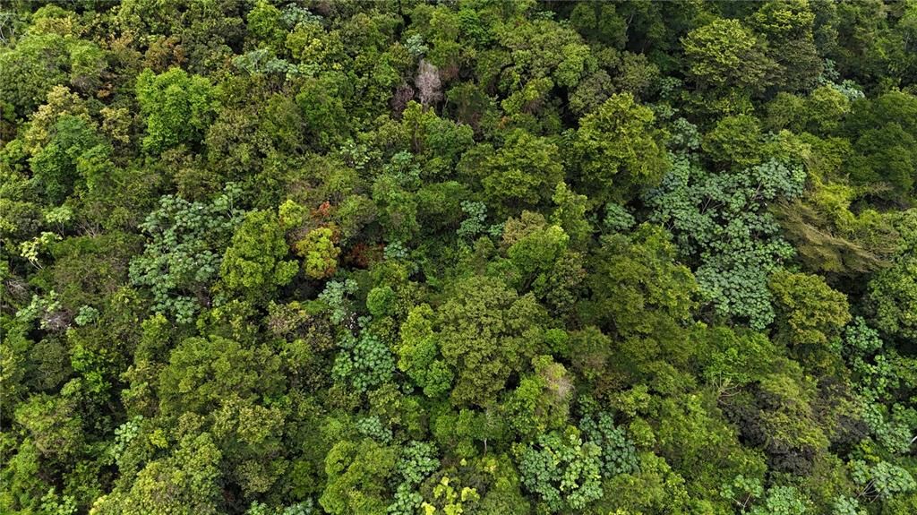 На продажу: $75,000 (0.70 acres)