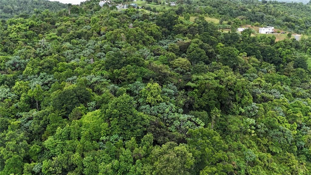 На продажу: $75,000 (0.70 acres)