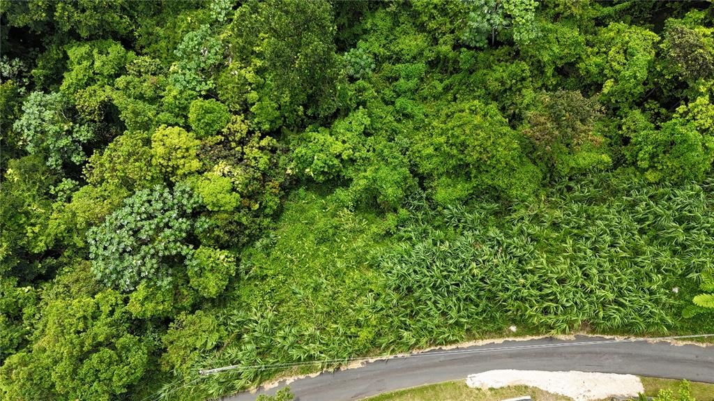 На продажу: $75,000 (0.70 acres)