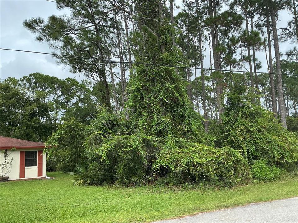 For Sale: $69,000 (0.23 acres)