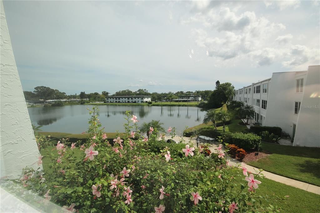 合同活跃: $1,500 (2 贝兹, 2 浴室, 1270 平方英尺)