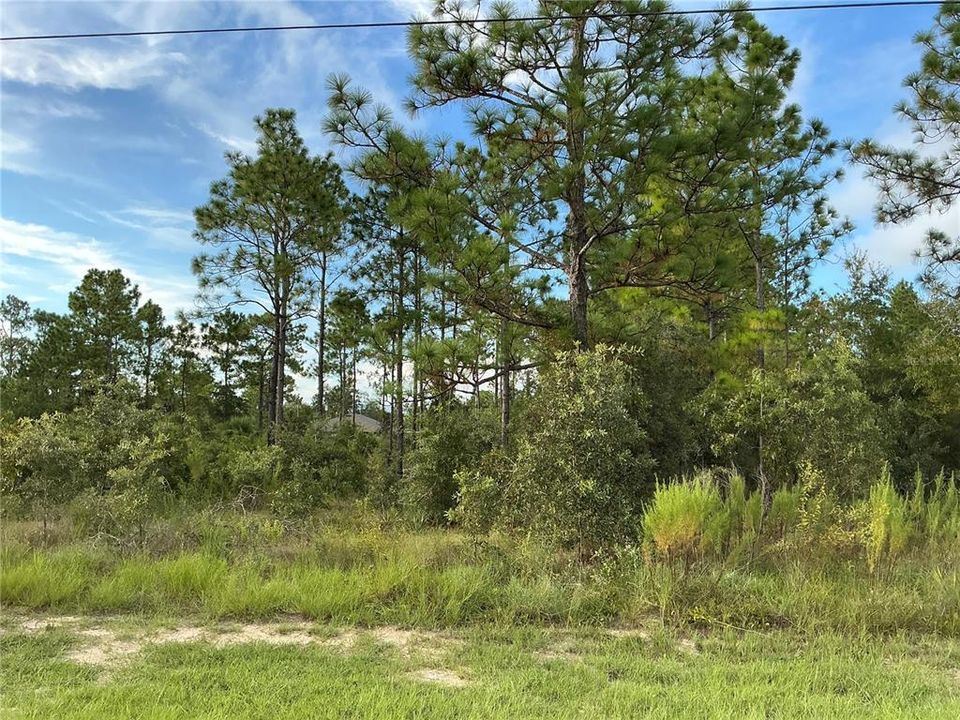 Recently Sold: $29,000 (0.46 acres)