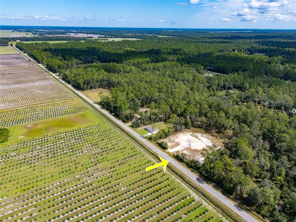 For Sale: $69,900 (0.91 acres)