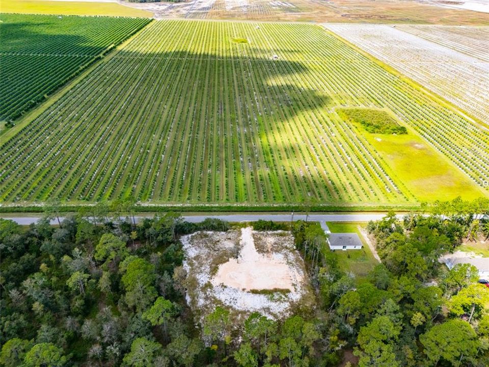 For Sale: $69,900 (0.91 acres)