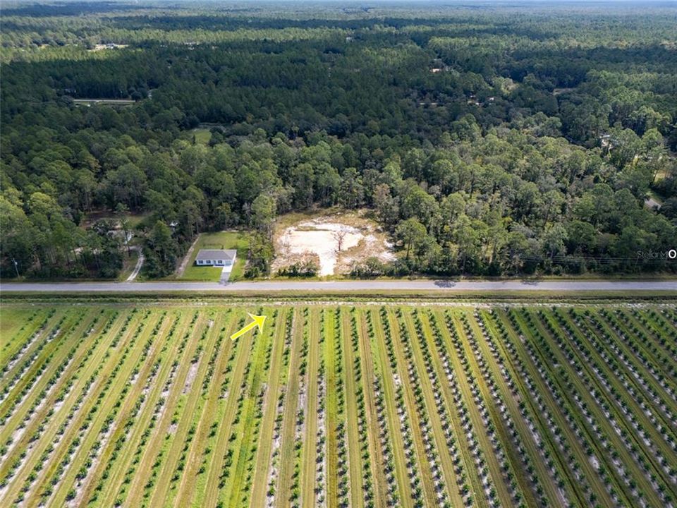 For Sale: $69,900 (0.91 acres)