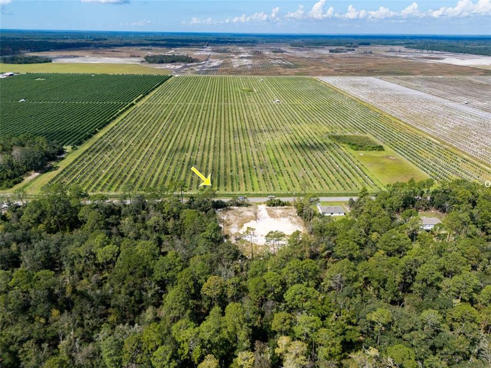 For Sale: $69,900 (0.91 acres)