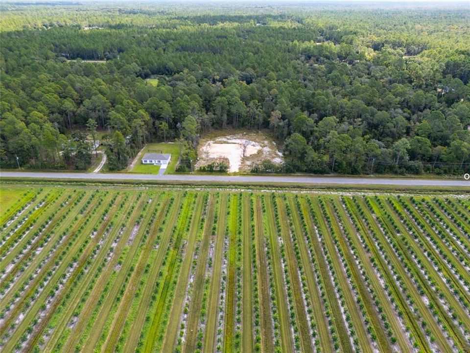 For Sale: $69,900 (0.91 acres)