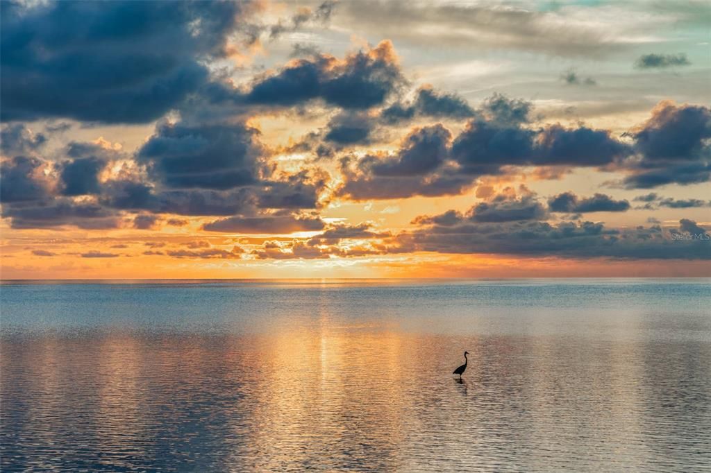 Active With Contract: $699,000 (0.20 acres)