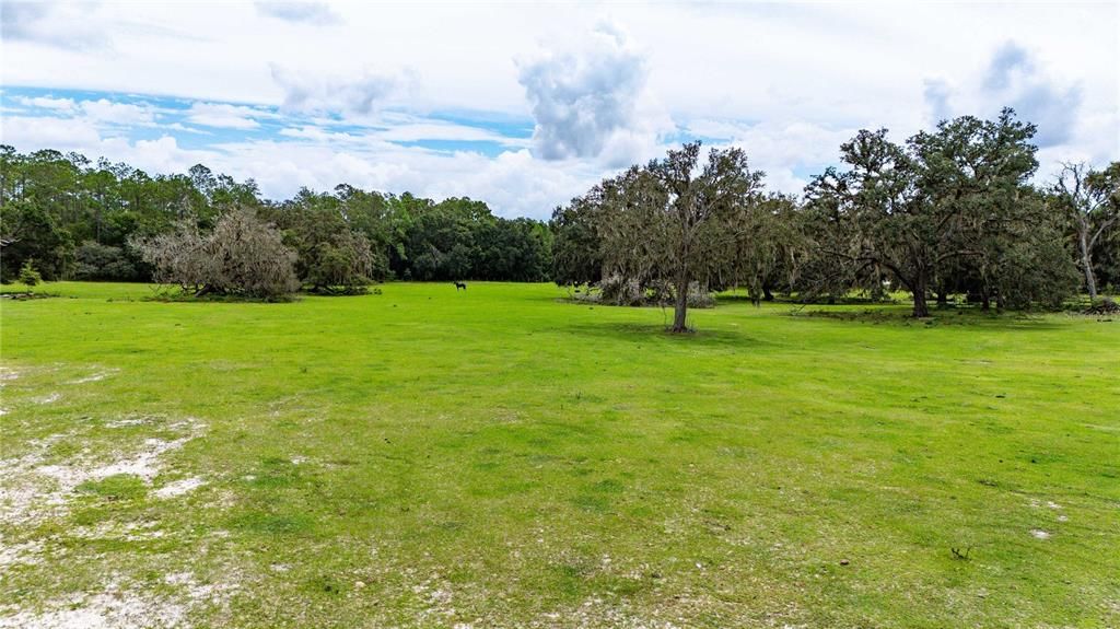 For Sale: $165,000 (5.00 acres)