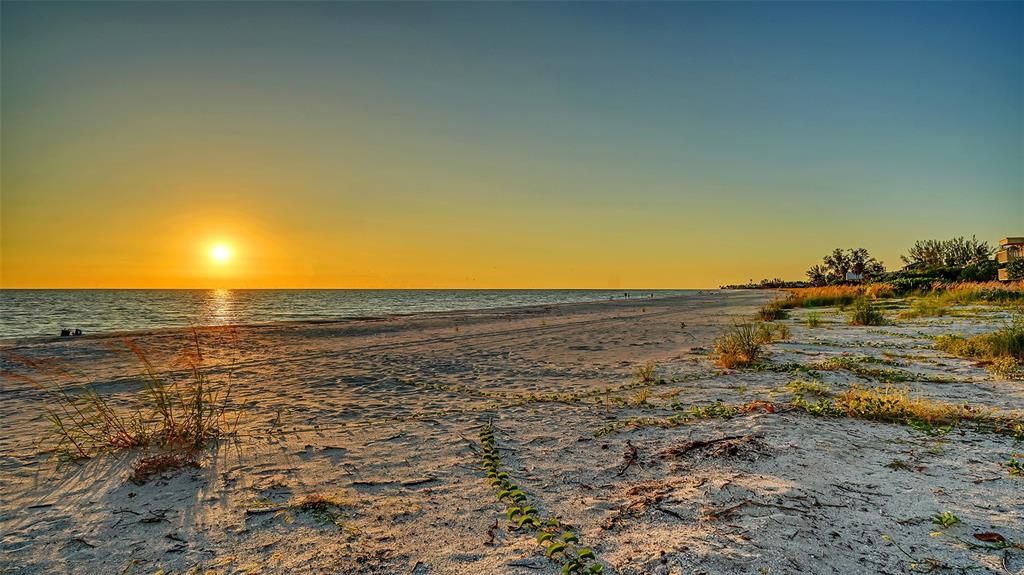 出租: $9,000 (2 贝兹, 2 浴室, 1561 平方英尺)