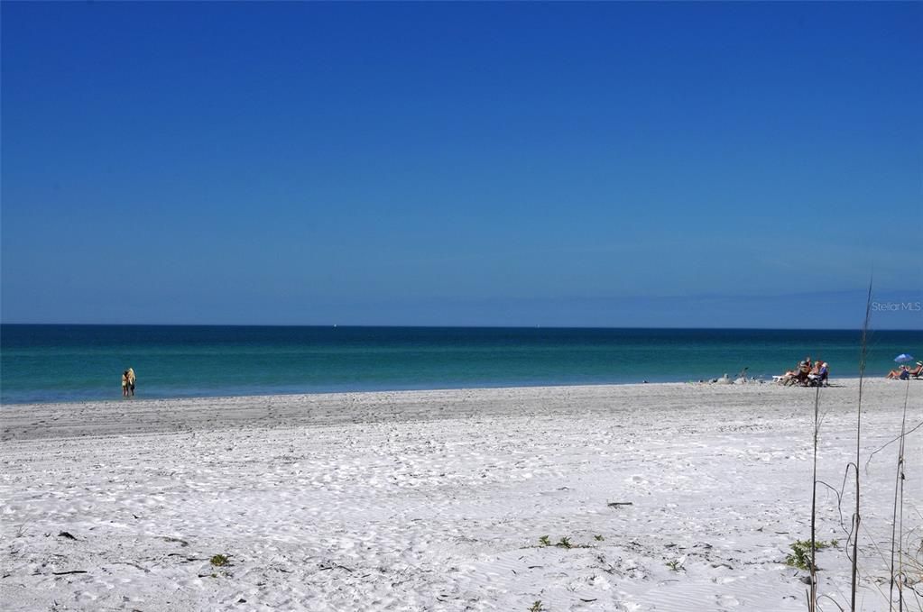 出租: $9,000 (2 贝兹, 2 浴室, 1561 平方英尺)