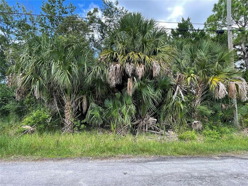 For Sale: $18,700 (0.19 acres)