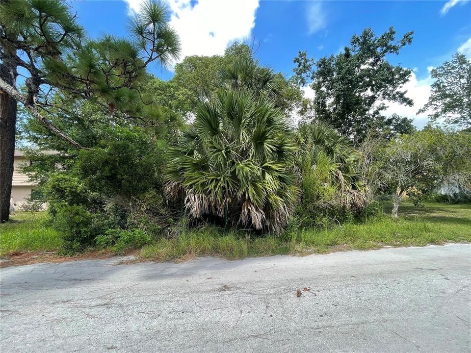 待售: $18,700 (0.15 acres)