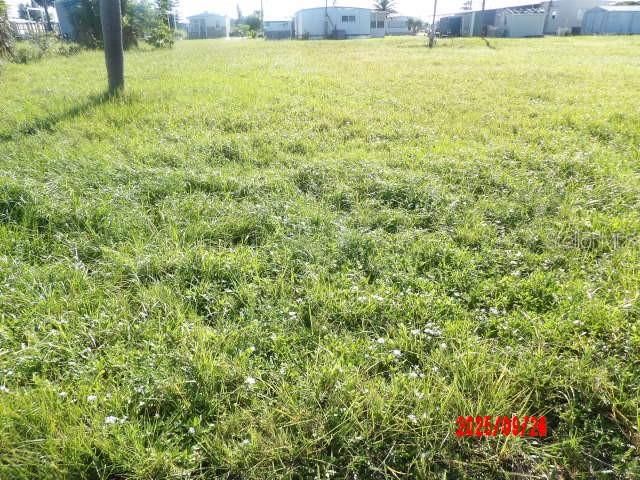 For Sale: $23,000 (0.19 acres)