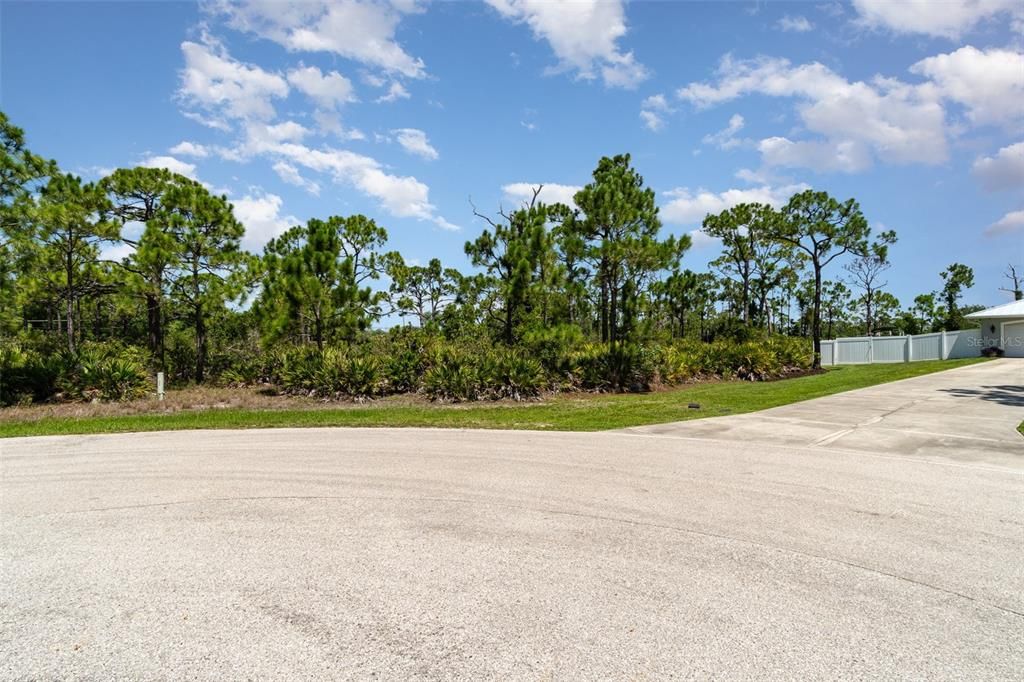 待售: $94,900 (1.24 acres)