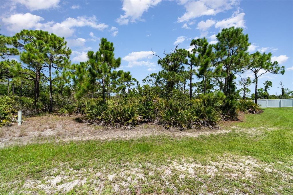 待售: $94,900 (1.24 acres)