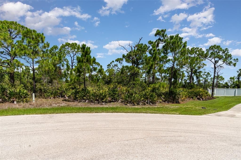 待售: $94,900 (1.24 acres)