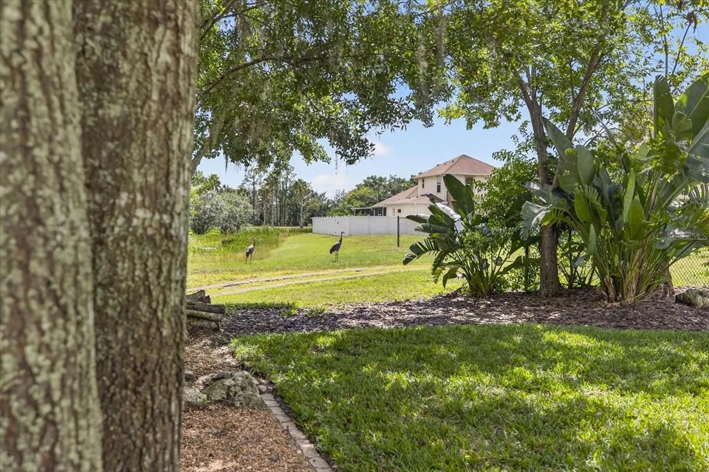 待售: $669,999 (4 贝兹, 2 浴室, 2228 平方英尺)