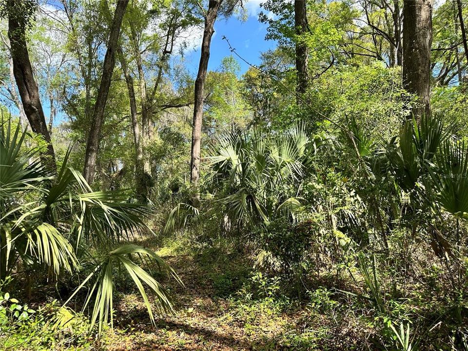 En Venta: $59,900 (0.92 acres)
