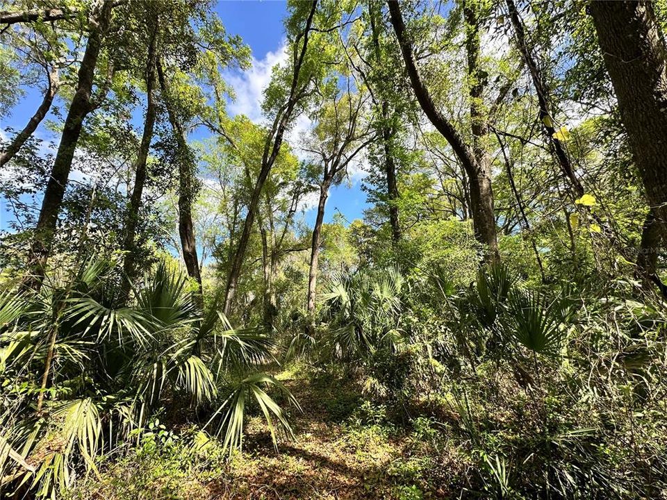En Venta: $59,900 (0.92 acres)