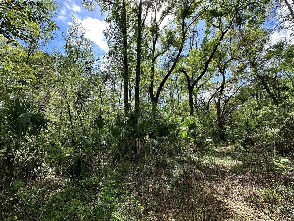 En Venta: $59,900 (0.92 acres)