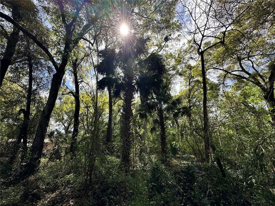 En Venta: $59,900 (0.92 acres)