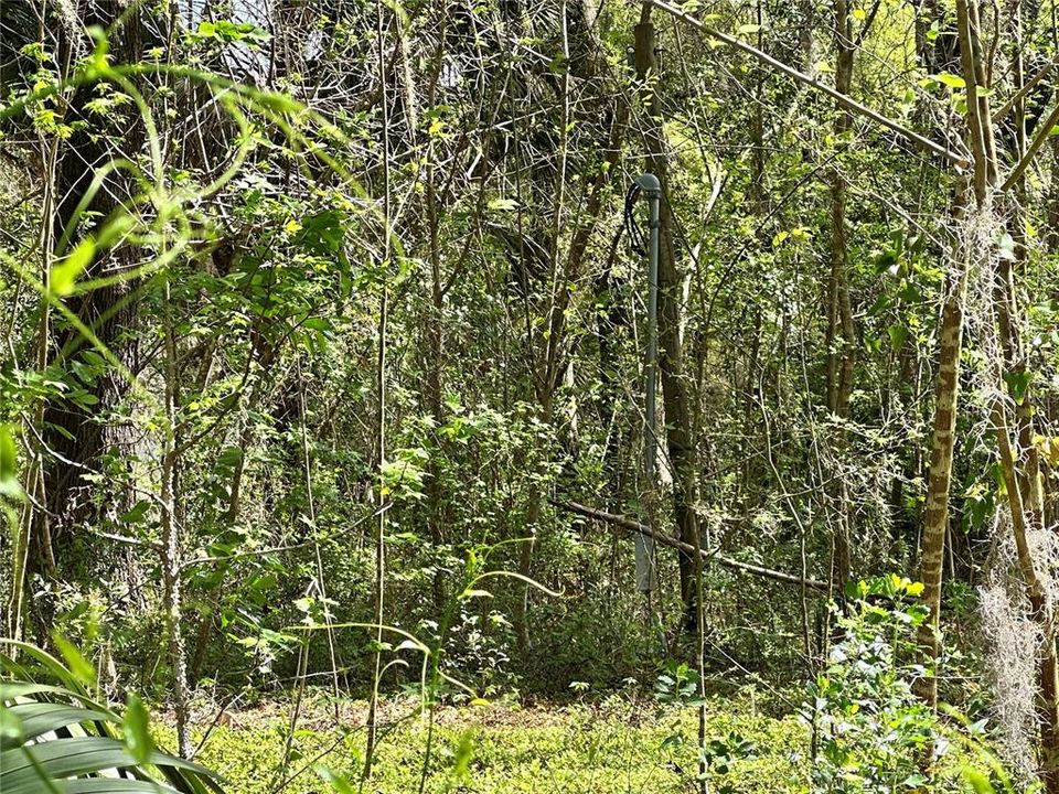 En Venta: $59,900 (0.92 acres)