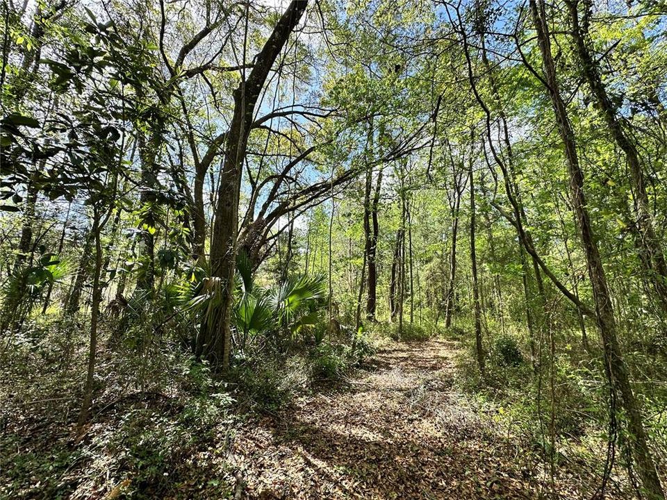En Venta: $59,900 (0.92 acres)
