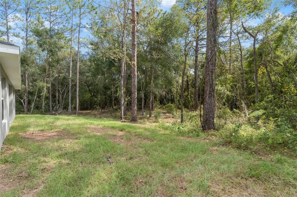 For Rent: $2,400 (4 beds, 2 baths, 1662 Square Feet)