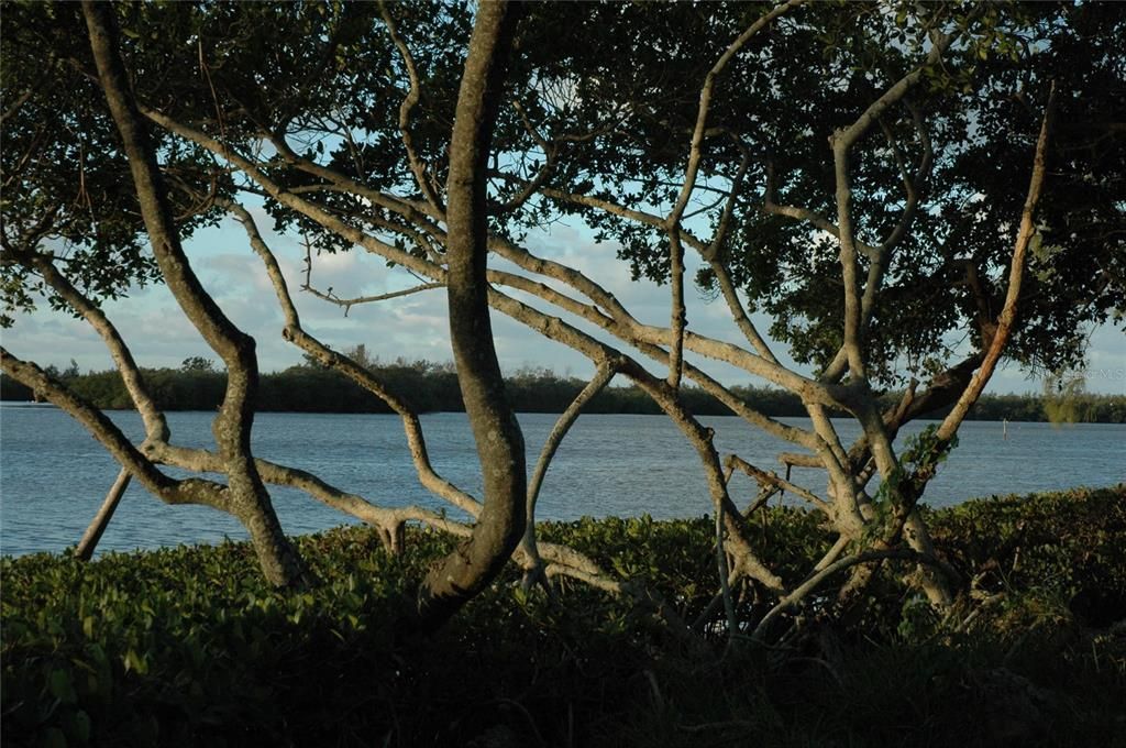 出租: $4,300 (2 贝兹, 2 浴室, 1350 平方英尺)