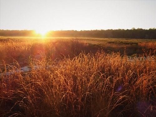 待售: $249,000 (3 贝兹, 2 浴室, 1326 平方英尺)