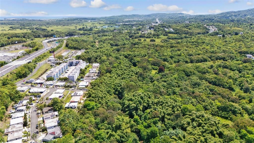 待售: $199,000 (7.31 acres)