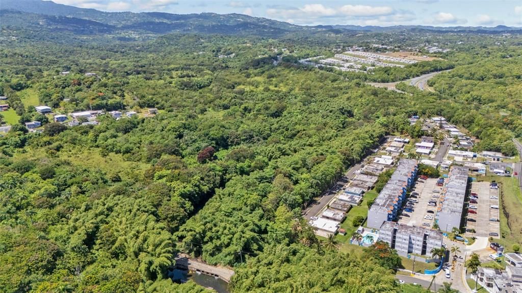 待售: $199,000 (7.31 acres)