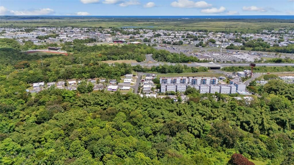 待售: $199,000 (7.31 acres)