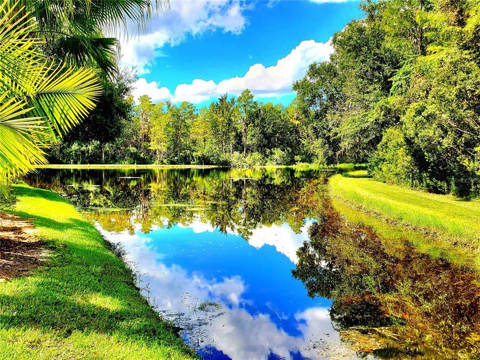 На продажу: $449,900 (3 спален, 2 ванн, 1864 Квадратных фут)