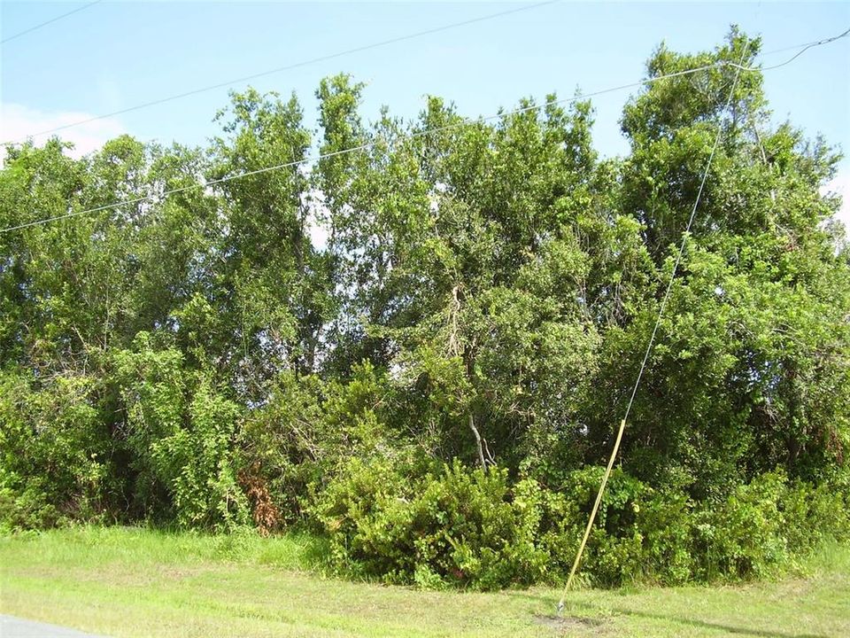 待售: $87,999 (0.24 acres)