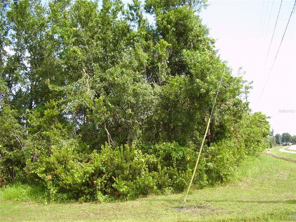 待售: $87,999 (0.24 acres)