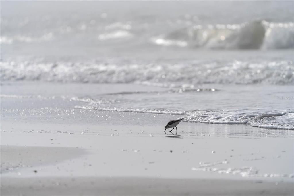 合同活跃: $999,000 (2 贝兹, 2 浴室, 1186 平方英尺)