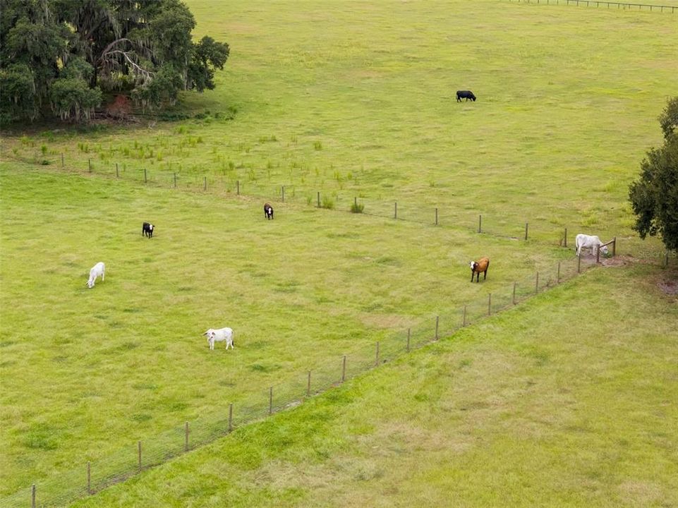 For Sale: $1,095,000 (3 beds, 2 baths, 2200 Square Feet)